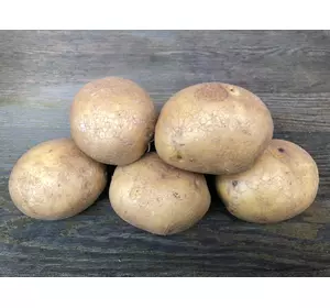Насіннєва картопля ФОНТАНЕ