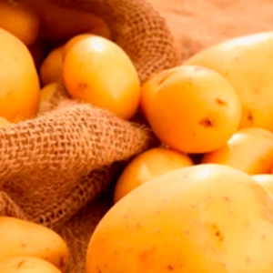 Насіння картоплі