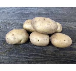 Насіннєва картопля ДОНАТА